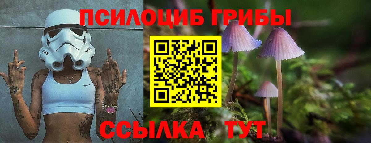 Иваново  Псилоцибиновые грибы Psilocybe  Вход с VPN 